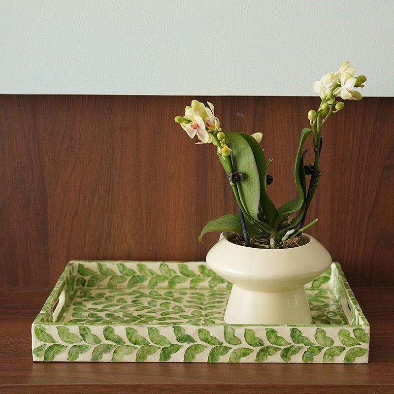Square Seashell Storage Tray with Green Vine Inlay